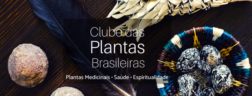 Poder de cura