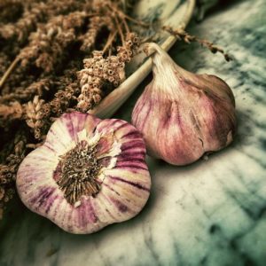O alho é uma planta medicinal desintoxicante.