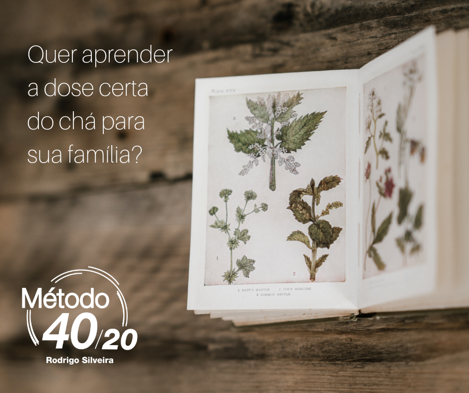 Aprenda como utilizar plantas medicinas para melhorar sua saúde.