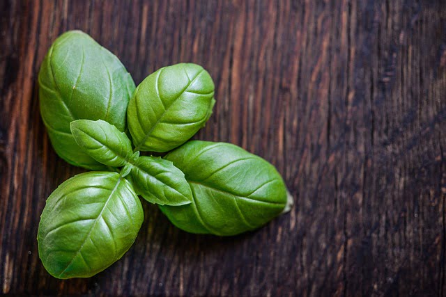 O manjericão é uma das ervas amigas de quem gosta de plantar
