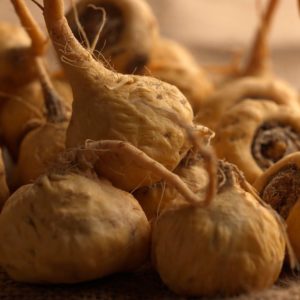 A Maca Peruana é uma planta medicinal que eleva a imunidade