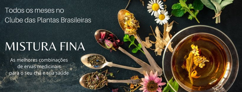 plantas purificadoras