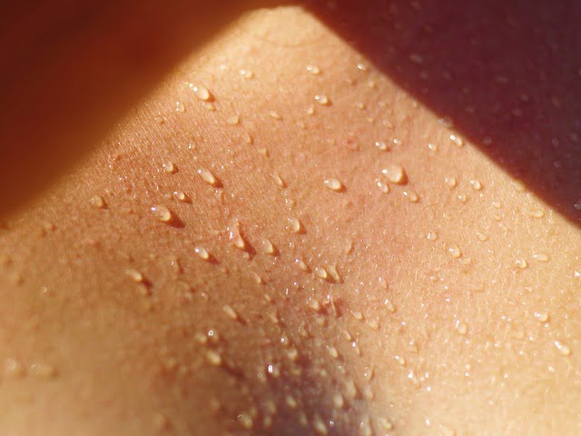 ervas diaforéticas
