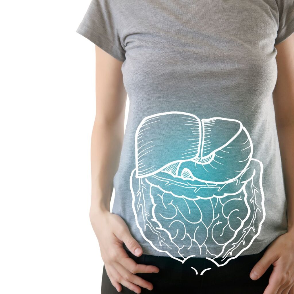 O que são alimentos probióticos