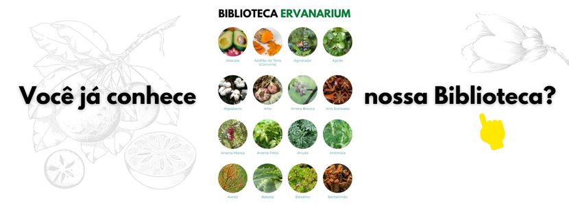 O atributo alt desta imagem está vazio. O nome do arquivo é Biblioteca.jpg